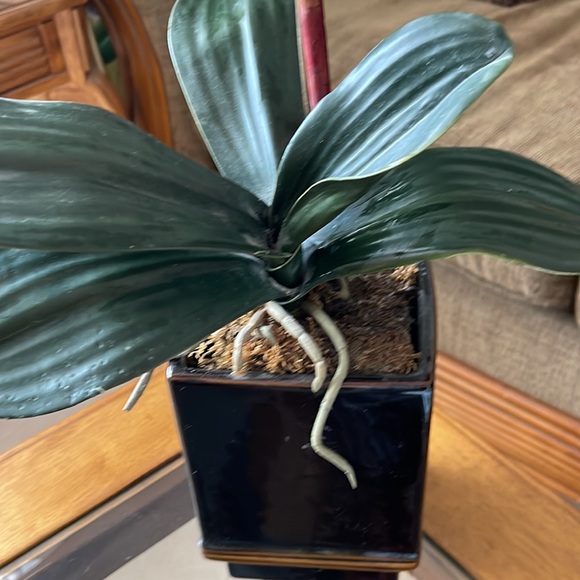 Fake flower - Picture 2 of 4